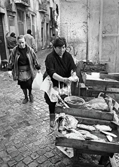 Shopkeeper: Fishmonger, Lison, Portugal - 2