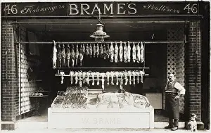 Fishmonger: Fishmonger and Poulterer on Elizabeth St