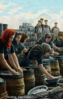 Packers: Fishwives packing herring - North East England