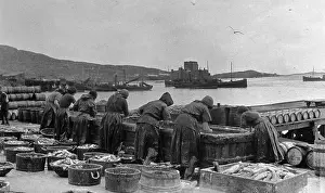 Barra: Fishwives at work, Barra, Outer Hebrides, Scotland