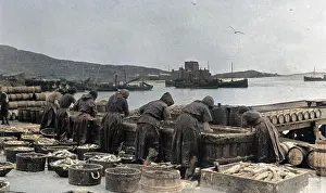 Fishwives: Fishwives at work, Barra, Outer Hebrides, Scotland