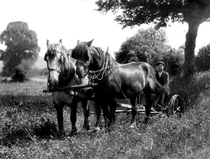C1940: Fittleworth, Two Horse Power c1940