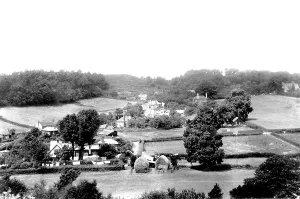 Fittleworth: Fittleworth, from Lea Hill 1908