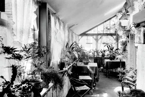 Fittleworth: Fittleworth, the Swan, the Veranda 1920