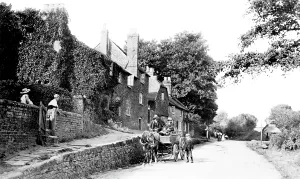 Fittleworth: Fittleworth, The Terrace 1906
