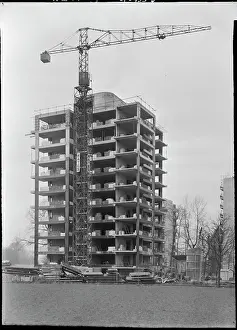 Fitzhugh: Fitzhugh Estate, Fitzhugh Grove, Wandsworth, London