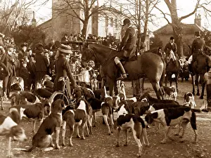 Fitzwilliam: Fitzwilliam hounds