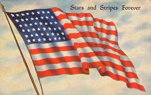Spangled: US Flag