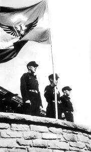 Upbringing: Flag of the Adolf Hitler Schools