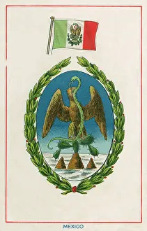 Talons: The Flag and Arms of Mexico