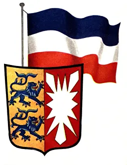 Nettle: Flag and coat of arms of Schleswig-Holstein, Germany