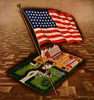Parcel: Flag and Farm