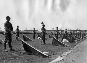 Lowered: Flag wavers of the RAD during the commemoration