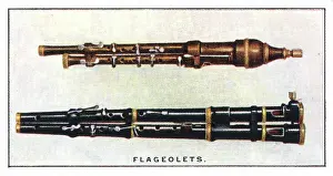 Flutes: Flageolets