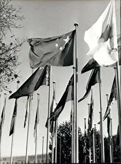 Flagpoles: Flags flying on 25th anniversary of UNESCO