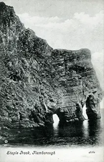 Chalk: Flamborough, East Riding of Yorkshire