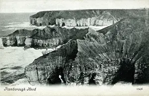 Chalk: Flamborough, East Riding of Yorkshire