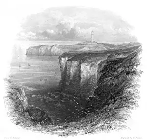 Flamborough: FLAMBOROUGH HEAD