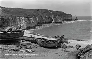 Donkeys: Flamborough North Landing