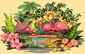 Flamingo: Flamingoes in Tropics
