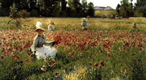 Poppies: In Flanders Field