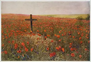 Poignant: In Flanders Fields