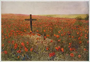 Poignant: In Flanders Fields