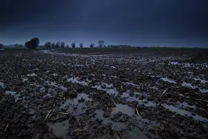 Beek: Flanders mud