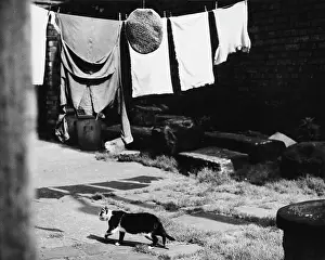 Pillow: Flat cap on the washing line - Wigan