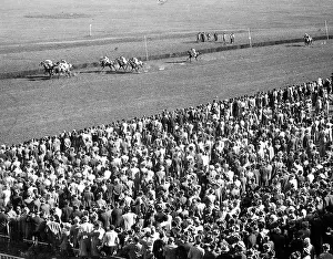 Machnow: Flat racing track Hoppegarten 1937