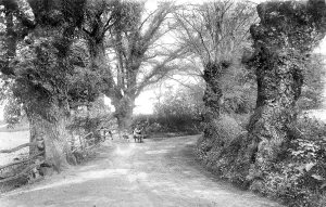 Constables: Flatford, Constable's Lane 1907