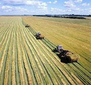 Harvester: Flax harvesting, 1976