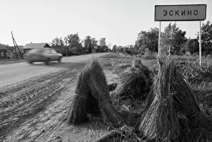 Sheaves: Flax harvesting