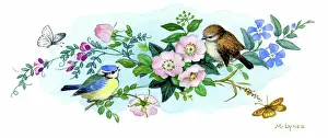 Lynes: Fledgling blue tit and sparrow on wild roses