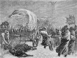 Savaged: FLEET STREET SNOWSTORM