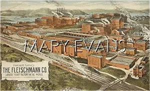 Yeast: FLEISCHMANN FACTORY