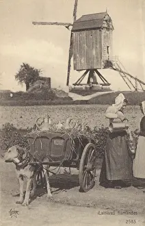 Pails: Flemish Milk cart - Belgium