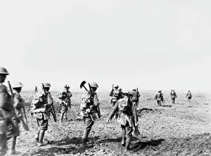 Reinforcements: Flers-Courcelette 1916