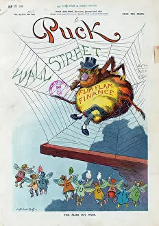 Cobweb: The flies got wise