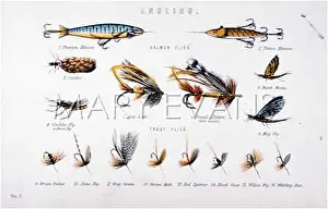 Lures: FLIES FOR SALMON & TROUT