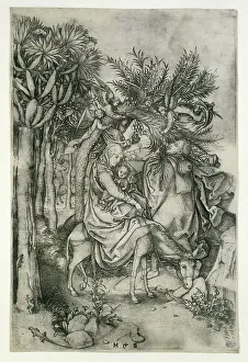 Schongauer: The flight into Egypt