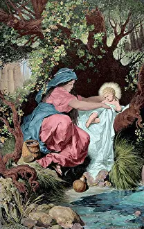 Nativity: Flight into Egypt. Engraving. Colored