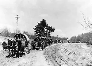 Treks: Flight of Russian Germans from Ukraine and Transnistria