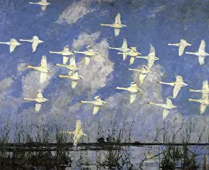 Marshy: Flight of Swans