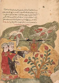 Kalila: The Flight of the Tortoise, Folio from a Kalila