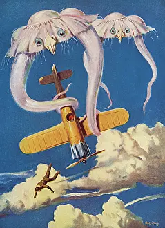 Aviation: Flights into the Future - creatures of the air jungle
