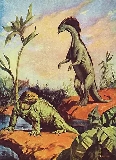 Dinosaurs: Flights into the Future - dinosaurs on Venus?