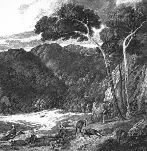 Flinders: Flinders, Matthew, 16.3.1774 - 19.7.1814, British