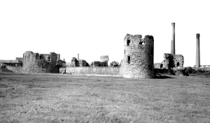 Clwyd: Flint, the Castle c1955