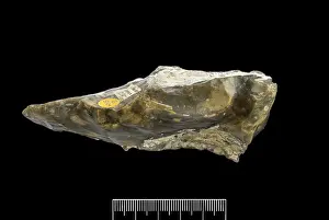 Artefact: Flint hand axe